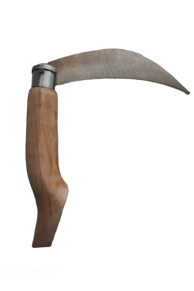 Destereci Fındık Bıçağı Norman